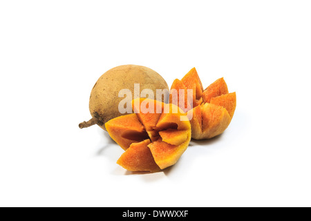 Sapote fruit isolé sur fond blanc Banque D'Images