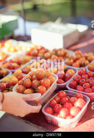 L'achat de tomates à market stall Banque D'Images