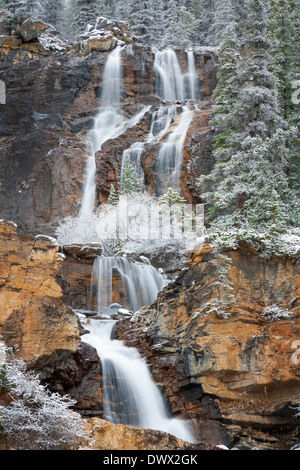 Vue d'hiver de Chutes Tangle Creek dans le parc national Jasper, Alberta, Canada Banque D'Images