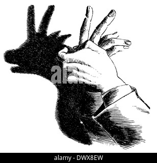 Ombre Chinoise Photo Stock Alamy