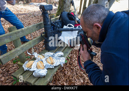 Bad Wiessee, Allemagne. 14Th Mar, 2014. Un photographe Photographies sandwiches commandés par l'ancien président du club de football allemand du Bayern de Munich, Uli Hoeness, pour les journalistes qui attendent en face de la maison de Hoeness près de Bad Wiessee, Allemagne, 14 mars 2014. Photo : MARC MUELLER/dpa/Alamy Live News Banque D'Images