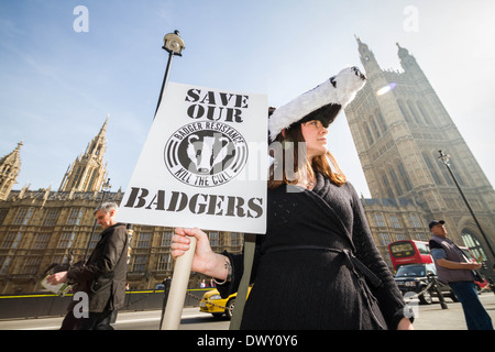 La réforme du blaireau de protestation devant le Parlement à Londres Banque D'Images