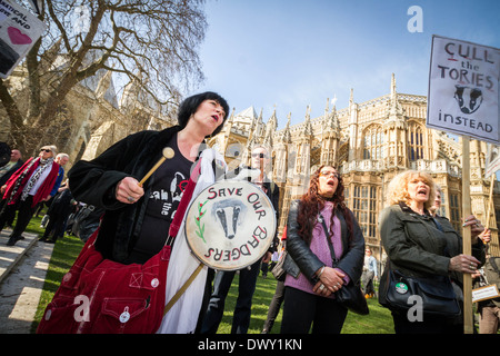 La réforme du blaireau de protestation devant le Parlement à Londres Banque D'Images