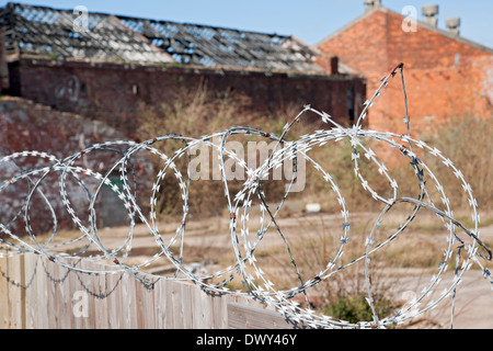 Gros plan de fil de fer barbelé Razorwire sur la clôture de sécurité en bois Hull East Yorkshire Angleterre Royaume-Uni GB Grande-Bretagne Banque D'Images