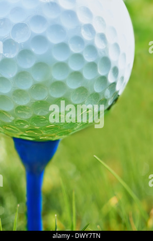 Close-up of golf ball on tee bleu au repos avec l'herbe et de l'espace pour l'exemplaire Banque D'Images