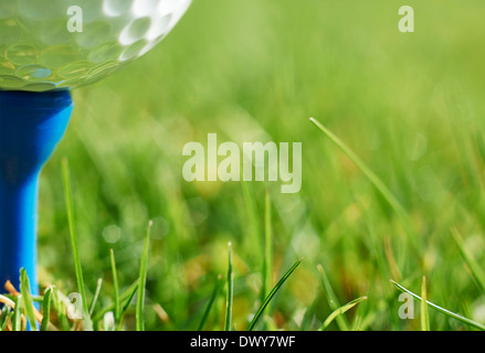 Close-up of golf ball on tee bleu au repos avec l'herbe et de l'espace pour l'exemplaire Banque D'Images