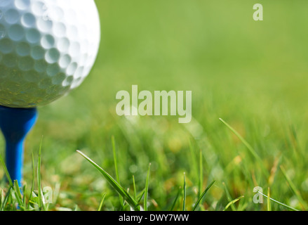 Close-up of golf ball on tee bleu au repos avec l'herbe et de l'espace pour l'exemplaire Banque D'Images