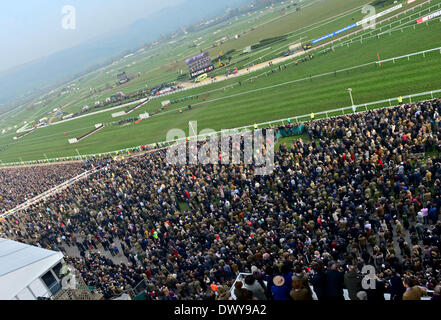 Cheltenham, Gloucestershire, UK . 14Th Mar, 2014. Atmosphère au Festival de Cheltenham Gold Cup 2014, jour 4, la Cheltenham Gold Cup. Credit : Jules annan/Alamy Live News Banque D'Images