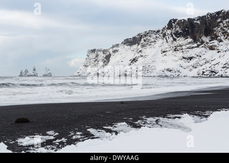 Sable noir basalte et falaises de Reynisfjall couverte de neige fraîche après une tempête à Vík í Mýrdal sur la côte sud de l'Islande. Banque D'Images