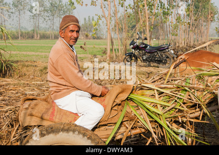 1Indian Farmer assis sur Panier Banque D'Images