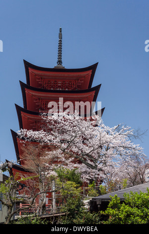 Pagode à Cinq étages entouré de cerisiers en fleurs, Hatsukaichi, Préfecture de Hiroshima, Japon Banque D'Images