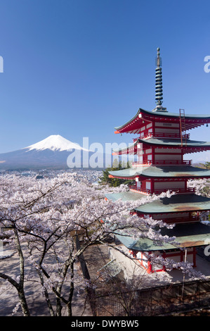 Pagode à cinq étages, fleurs de cerisier et le Mont Fuji, Japon Banque D'Images