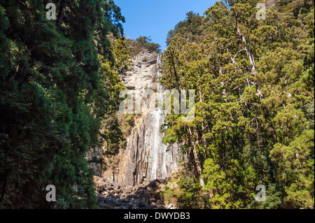 Kumano Kodo, Higashimuro gun, préfecture de Wakayama, Japon Banque D'Images