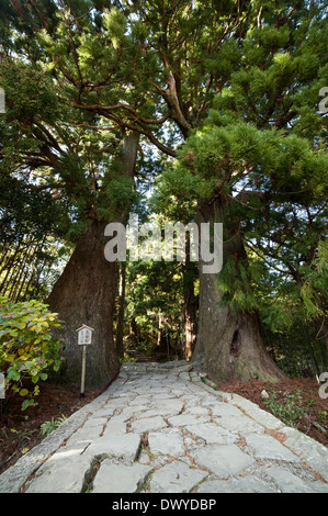 Kumano Kodo, Higashimuro gun, préfecture de Wakayama, Japon Banque D'Images