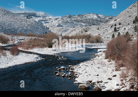 Ruisseau de montagne en hiver Banque D'Images