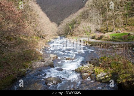 À l'aval de la vallée de la rivière Lyn à Watersmeet, près de Lynmouth, Exmoor national park, Devon, Angleterre Banque D'Images