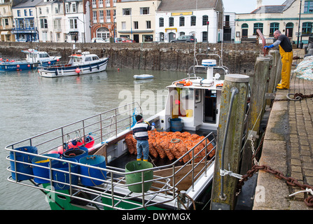 Le déchargement des prises de mollusques dans un petit bateau de pêche dans le port, Ilfracombe, Devon, Angleterre Banque D'Images