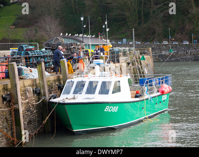 Le déchargement des prises de mollusques dans un petit bateau de pêche dans le port, Ilfracombe, Devon, Angleterre Banque D'Images