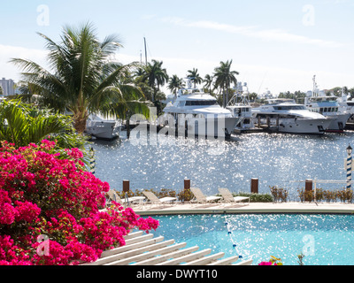 La floraison, paysagers jardins, la piscine et le port de plaisance le long de l'Intracoastal Waterway ICW', 'F. Lauderdale, FL, USA Banque D'Images