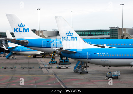 Les avions de KLM à l'aéroport de Schiphol, Amsterdam, Hollande, Pays-Bas Banque D'Images