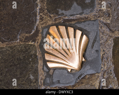 Une coquille Saint-Jacques en laiton fixés dans la chaussée de Bruxelles, Belgique. C'est un marqueur pour le chemin de Saint-Jacques de Compostelle pèlerinage à pied. Banque D'Images