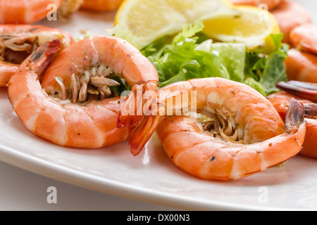 Assiette de crevettes roses fraîches Banque D'Images