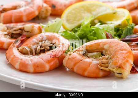 Assiette de crevettes roses fraîches Banque D'Images