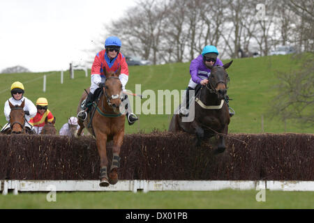 Kelso, UK. - 15/Mar/2014 : Frères Haugh Duc de Buccleuch's Point-2-Point Légende : 13:30 Connolly's Red Mills course intermédiaire Crédit : Rob Gray/Alamy Live News Banque D'Images