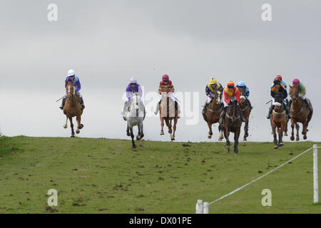 Kelso, UK. - 15/Mar/2014 : Frères Haugh Duc de Buccleuch's Point-2-Point Légende : Jockey's en cours dans l'Brewin Dolphin Mesdames Ouvrez Race Crédit : Rob Gray/Alamy Live News Banque D'Images