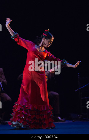 'Trasmín» effectuée par Belén Belén Maya Maya de la société au cours de la London 2014 Festival Flamenco Banque D'Images