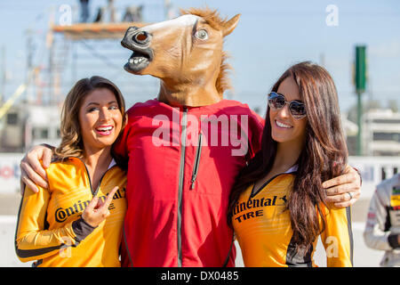 Sebring, en Floride, USA. Mar 15, 2014. Sebring, Floride - Mar 15, 2014 : Les modèles de pneus Continental posent pour les photos avant le début des 12 Heures de Sebring Sebring International Raceway à Sebring, Floride. Credit : csm/Alamy Live News Banque D'Images