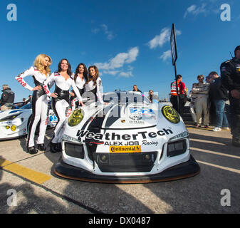 Sebring, en Floride, USA. Mar 15, 2014. Sebring, Floride - Mar 15, 2014 : la météo pour les modèles posent Tech photos avant le début des 12 Heures de Sebring Sebring International Raceway à Sebring, Floride. Credit : csm/Alamy Live News Banque D'Images