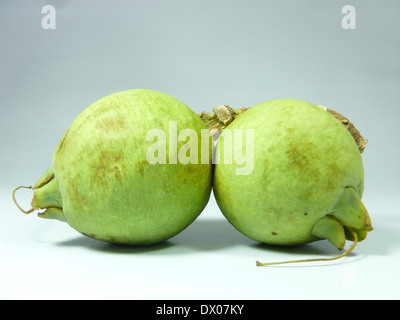 Fruits de Careya arborea Roxb, Careya arborea Banque D'Images