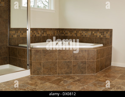 Photo horizontale de grande baignoire dans la salle de bains principale avec douche et fenêtres partielle Banque D'Images