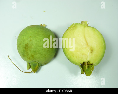 Fruits de Careya arborea Roxb, Careya arborea Banque D'Images