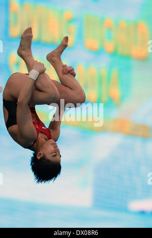 Beijing, Chine. Mar 16, 2014. Huixia Liu de la concurrence de la Chine au cours de la plate-forme de 10m de femmes à la finale de la Série mondiale FINA 2014 à Beijing, capitale de Chine, le 16 mars 2014. Huixia Liu a remporté la médaille d'or avec 412,90 points. Credit : Bai Xuefei/Xinhua/Alamy Live News Banque D'Images