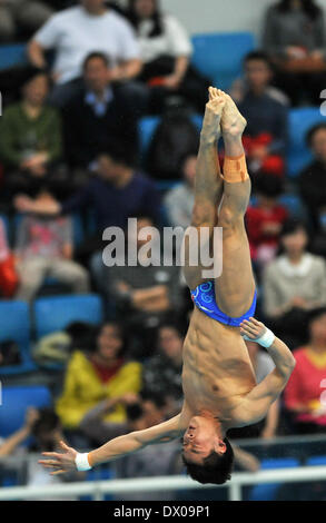 Beijing, Chine. Mar 16, 2014. Cao Yuan de la concurrence de la Chine au cours de la plate-forme de 10m à la finale de la Série mondiale FINA 2014 à Beijing, capitale de Chine, le 16 mars 2014. Cao Yuan a remporté la médaille d'or avec 579,45 points. Credit : Cheng Tingting/Xinhua/Alamy Live News Banque D'Images