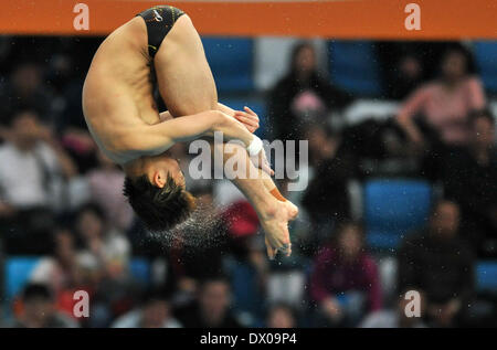 Beijing, Chine. Mar 16, 2014. Qiu Bo de la concurrence de la Chine au cours de la plate-forme de 10m à la finale de la Série mondiale FINA 2014 à Beijing, capitale de Chine, le 16 mars 2014. Qiu Bo a remporté la médaille d'argent avec 534,05 points. Credit : Cheng Tingting/Xinhua/Alamy Live News Banque D'Images