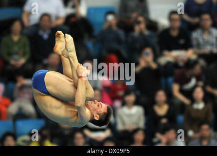 Beijing, Chine. Mar 16, 2014. Tom Daley de la Grande-Bretagne fait concurrence au cours de la plate-forme de 10m hommes finale aux World Series FINA 2014 à Beijing, capitale de Chine, le 16 mars 2014. Tom Daley a remporté la médaille de bronze avec 525,05 points. Credit : Cheng Tingting/Xinhua/Alamy Live News Banque D'Images