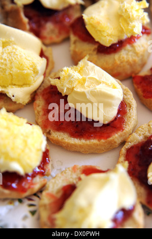 Des scones avec de la confiture de fraise et crème Banque D'Images