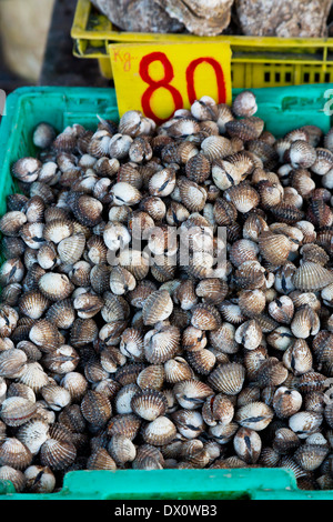 Moules sur un marché à Rawai Beach, Phuket, Thaïlande Banque D'Images