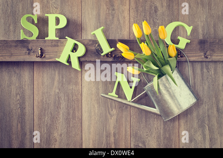 Abri de jardin avec arrosage avec des tulipes - Vintage effet ajouté Banque D'Images