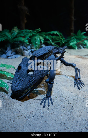 Les dinosaures au Musée, exposition, Dinosaurium Prague Banque D'Images