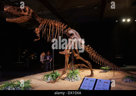 Les dinosaures au Musée, exposition, Dinosaurium Prague Banque D'Images