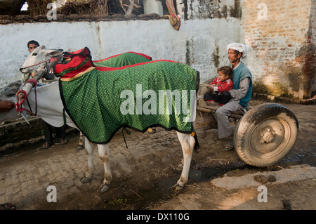 Indian farmer Standing avec Bull Banque D'Images