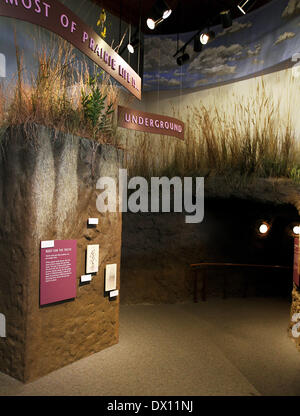 Prairie City, Iowa, États-Unis. Mar 15, 2014. Une exposition interactive sur la vie souterraine dans le centre d'apprentissage des Prairies à l'Neal Smith National Wildlife Refuge situé juste au sud de Prairie City, Iowa. Les 11 200 hectares de prairie abrite un troupeau de bisons, élans et plusieurs kilomètres de sentiers qui serpentent à travers une variété d'écosystèmes. Plus d'informations sur le refuge peut être obtenu à l'www.fws.gov/refuge/Neal Smith. © Kevin E. Schmidt/ZUMAPRESS.com/Alamy Live News Banque D'Images