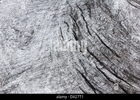 Petrov glacier, la structure de surface. Ak-Shiryak Tian-shan occidental, Kirghizistan, massif Banque D'Images