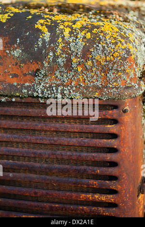 Tracteur. Vieux, rouillé, vintage, couvert de lichen, tracteur agricole  abandonné, Marahau, Abel Tasman, Île du Sud, Nouvelle-Zélande. Plein  format, personne Photo Stock - Alamy