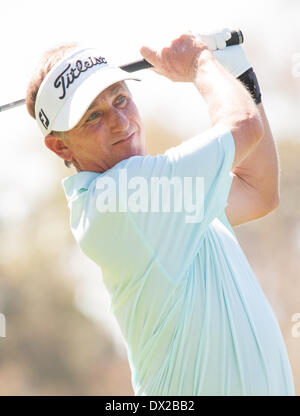 Newport Beach, Californie, USA. Mar 16, 2014. Willie Woods surveille son lecteur sur le deuxième trou lors de la ronde finale de la Classique de Toshiba à la Newport Beach Country Club le 16 mars 2014 à Newport Beach, en Californie. © Doug Gifford/ZUMAPRESS.com/Alamy Live News Banque D'Images