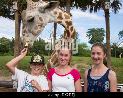 Trois enfants l'alimentation d'une girafe, Busch Gardens, Florida Banque D'Images